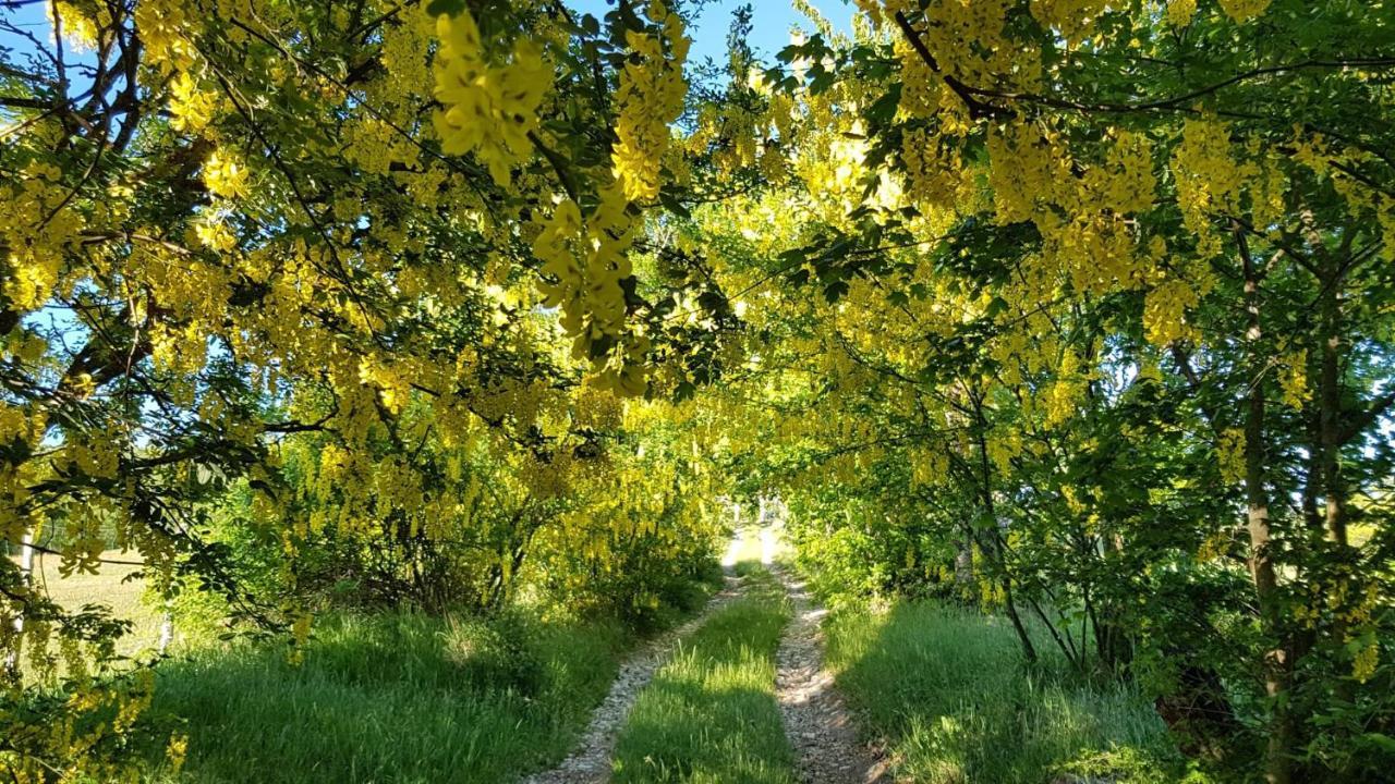 Fattoria Ca Di Sole * San Benedetto Val di Sambro