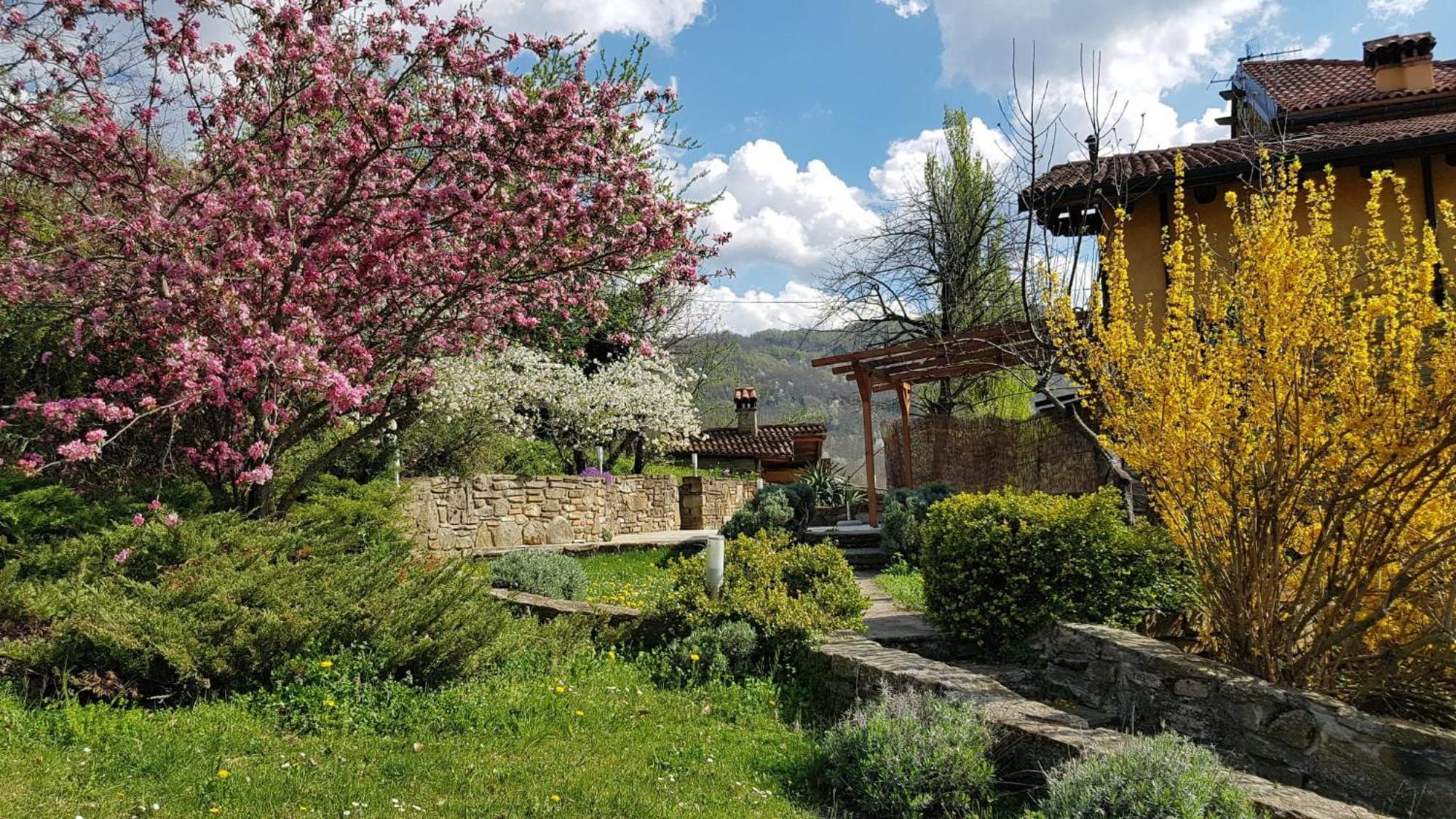 Fattoria Ca Di Sole San Benedetto Val di Sambro
